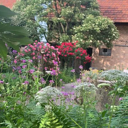 Pitoresque Dans Ancienne Ferme Kauffenheim