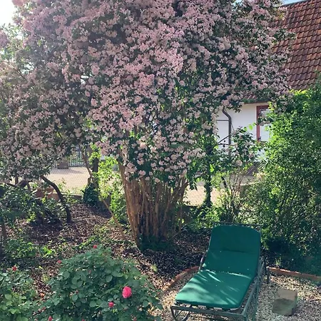 아파트 Cosy Au Calme Avec Sauna