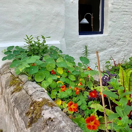 Pitoresque Dans Ancienne Ferme アパート *