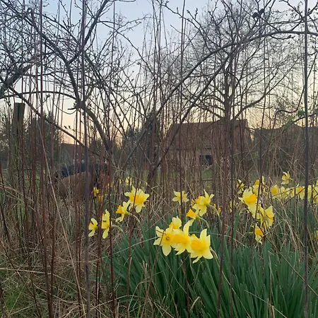 アパート Pitoresque Dans Ancienne Ferme *