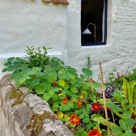 Cosy Au Calme Avec Sauna 아파트 *