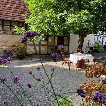 Apartment Cosy Au Calme Avec Sauna Kauffenheim