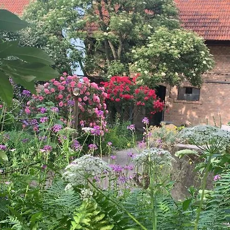 Cosy Au Calme Avec Sauna Kauffenheim