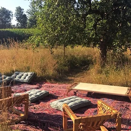 Cosy Au Calme Avec Sauna * Kauffenheim