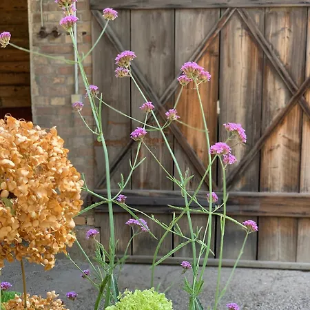 아파트 Cosy Au Calme Avec Sauna Kauffenheim