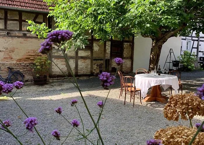 아파트 Cosy Au Calme Avec Sauna Kauffenheim