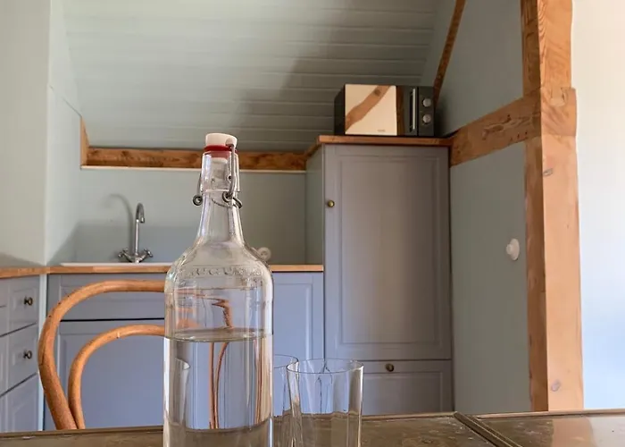 Cosy Au Calme Avec Sauna 아파트 Kauffenheim